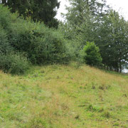 image (0011)