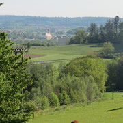 image (0012)